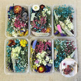 1BoxMixBeautifulRealDriedNaturalFlowersforResinJewelryCraftMaking-2