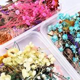1BoxMixBeautifulRealDriedNaturalFlowersforResinJewelryCraftMaking