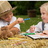 STABILO Extra-thick Fibre-Tip Pen Trio Jumbo Pack of 12