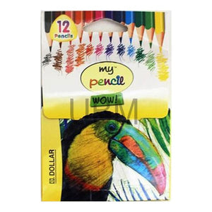 DollarMyPencilColor_12pcs_Half-2