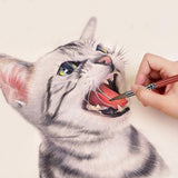 HabicoSablonRoundPaintBrush1pc4