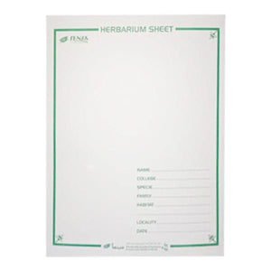 HerbariumSheetPackof10