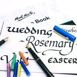 MontMarteSignatureCalligraphyPenSetof31pc6