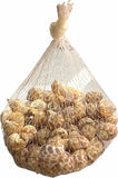 SeaShellsLargeNet_1Pouch_-4
