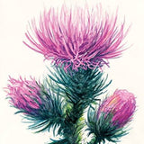 StrathmoreSeries400WatercolorPad300gsm-3